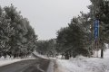 ეკომიგრანტების კვლევა წალკაში